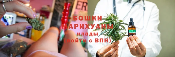 ГАЛЛЮЦИНОГЕННЫЕ ГРИБЫ Медногорск