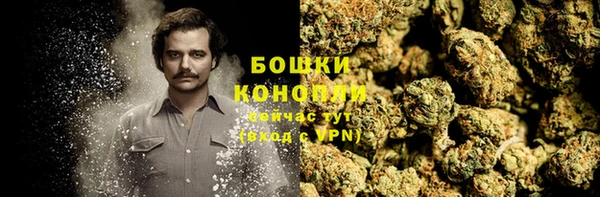хмурый Лагань