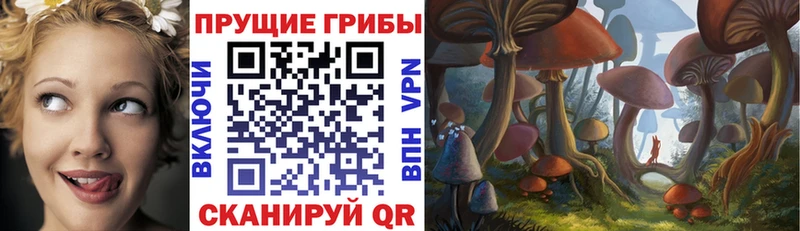 Псилоцибиновые грибы мицелий  Купить где  Белозерск 